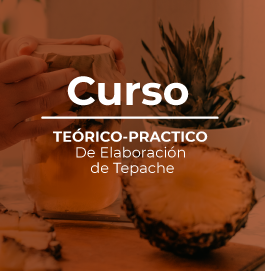 Curso teórico-práctico de elaboración de tepache