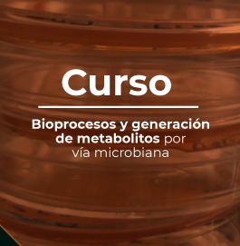 Bioprocesos, generación de metabolitos por vía Microbiana
