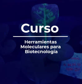 Herramientas Moleculares para Biotecnología